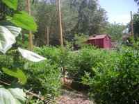 Laughing Turtle Farms.  Photo courtesy of mrcog-nm.gov