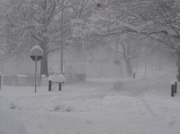 White out. Photo credit: http://www.flickr.com/