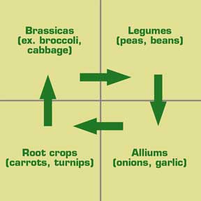 Crop Rotation Example. Image from: http://www.cedarmill.org/news/810/Your_Living_Soil.html