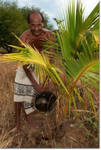 A Sri Lankan man fills an olla used to water a tree. Image from: permaculturenews.org