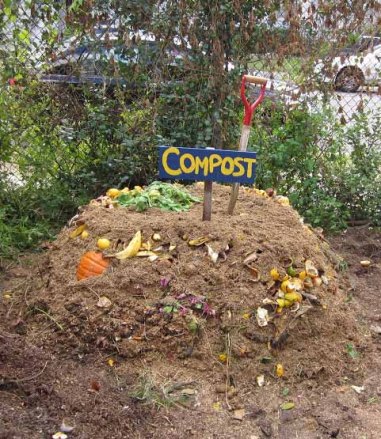 Image credit: http://www.dolphinblue.com/blog/how-to-start-your-own-compost-pile/