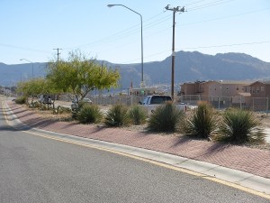 Guerilla median in Albuquerque. Photo credit: David Cristiani
