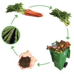 Image credit: http://www.uaex.edu/yard-garden/vegetables/compost.aspx