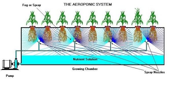 aeroponic diagram