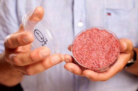 cultured meat burger