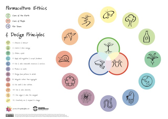 (1)permaculture-principles-poster