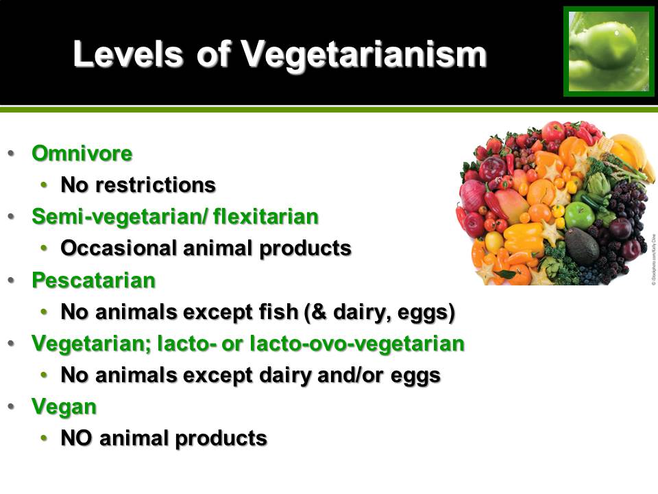 The Top Three Reasons Why You Should Switch to a Plant Based Diet | ABQ Stew